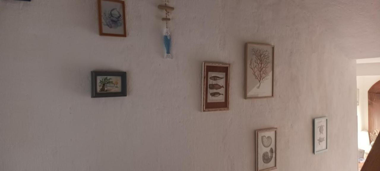 Appartamento Anna Biograd Na Moru Esterno foto