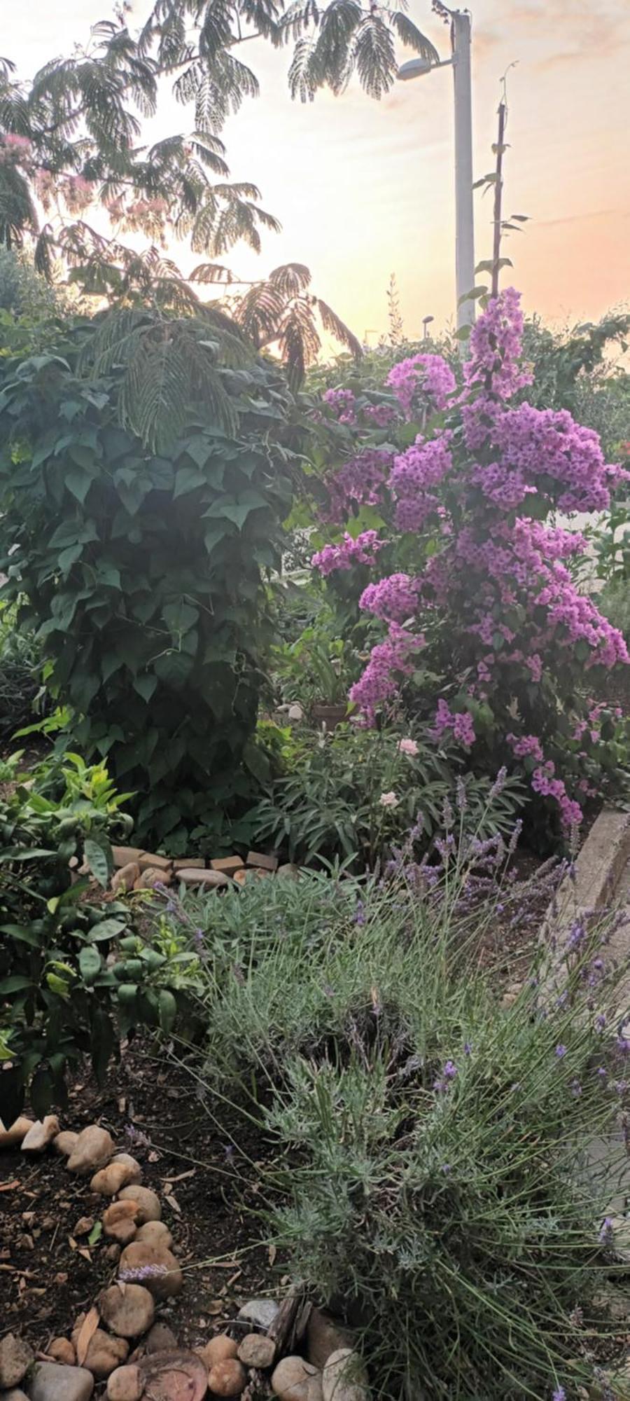 Appartamento Anna Biograd Na Moru Esterno foto
